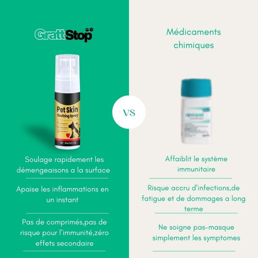 Spray GrattStop