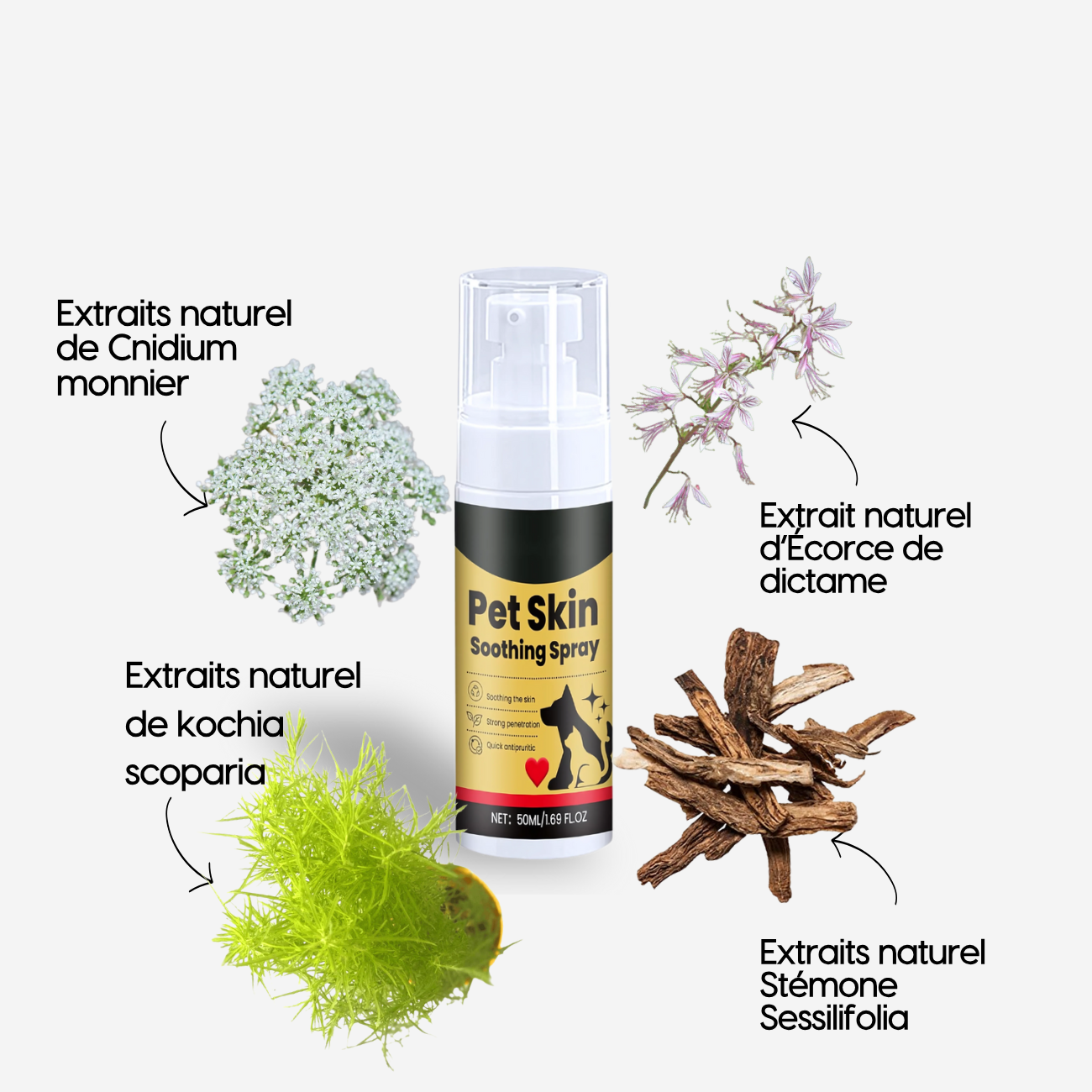 Spray Anti-Démangeaisons