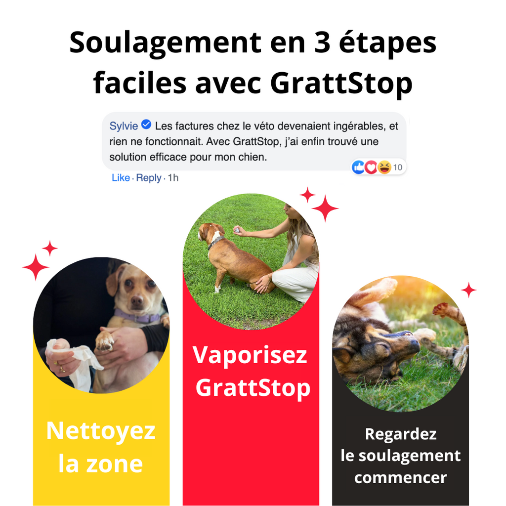 Spray Anti-Démangeaisons