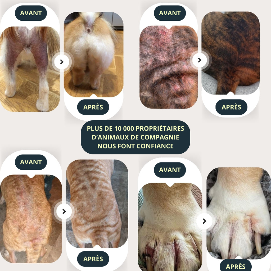 Spray Anti-Démangeaisons