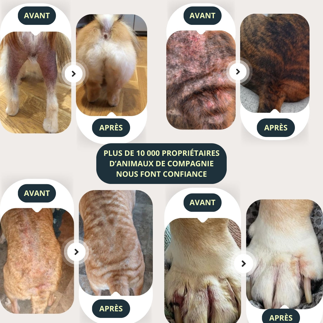 Spray Anti-Démangeaisons