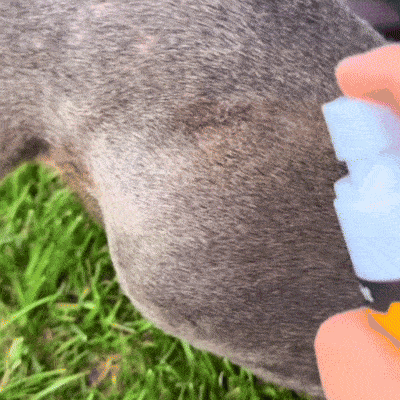 Spray Anti-Démangeaisons